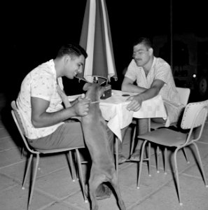 Publiek op een terras van een horecagelegenheid in Eilat Een man laat zich door, Bestanddeelnr 255-3616