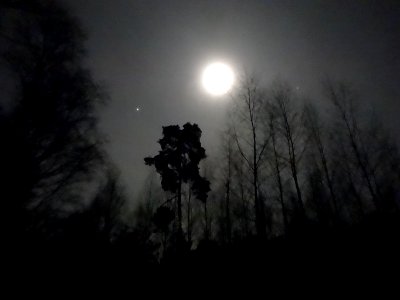 PuszczaBydgoska night4 01-2015
