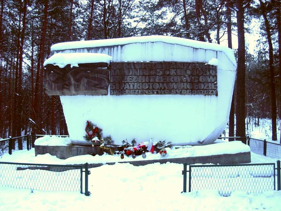 Puszcza Bydgoska pomnik zima 01-2013
