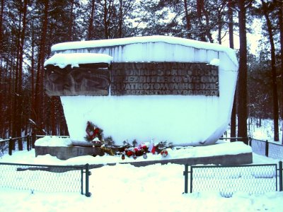 Puszcza Bydgoska pomnik zima 01-2013