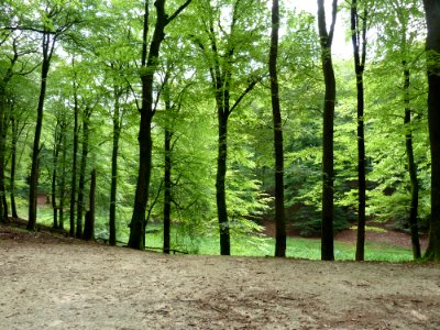 Putten-Solsche Gat (1)