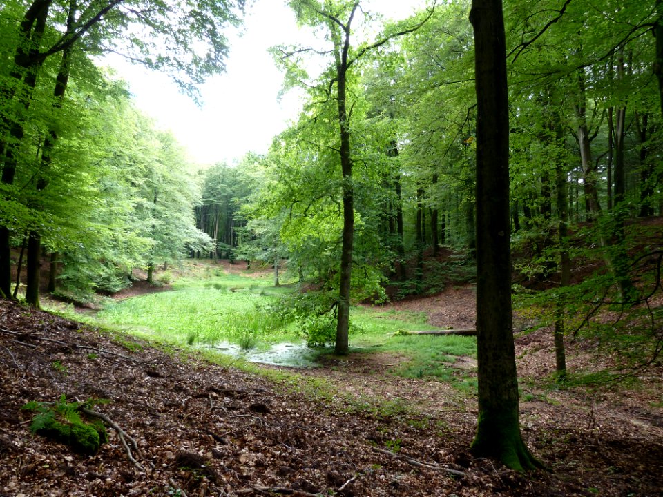 Putten-Solsche Gat (5)