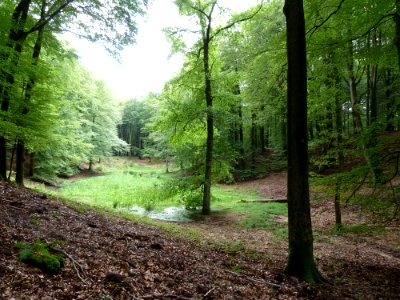 Putten-Solsche Gat (5)