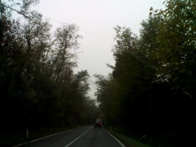 Puianello(RE)18