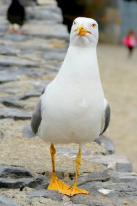 Sea coast nature photo