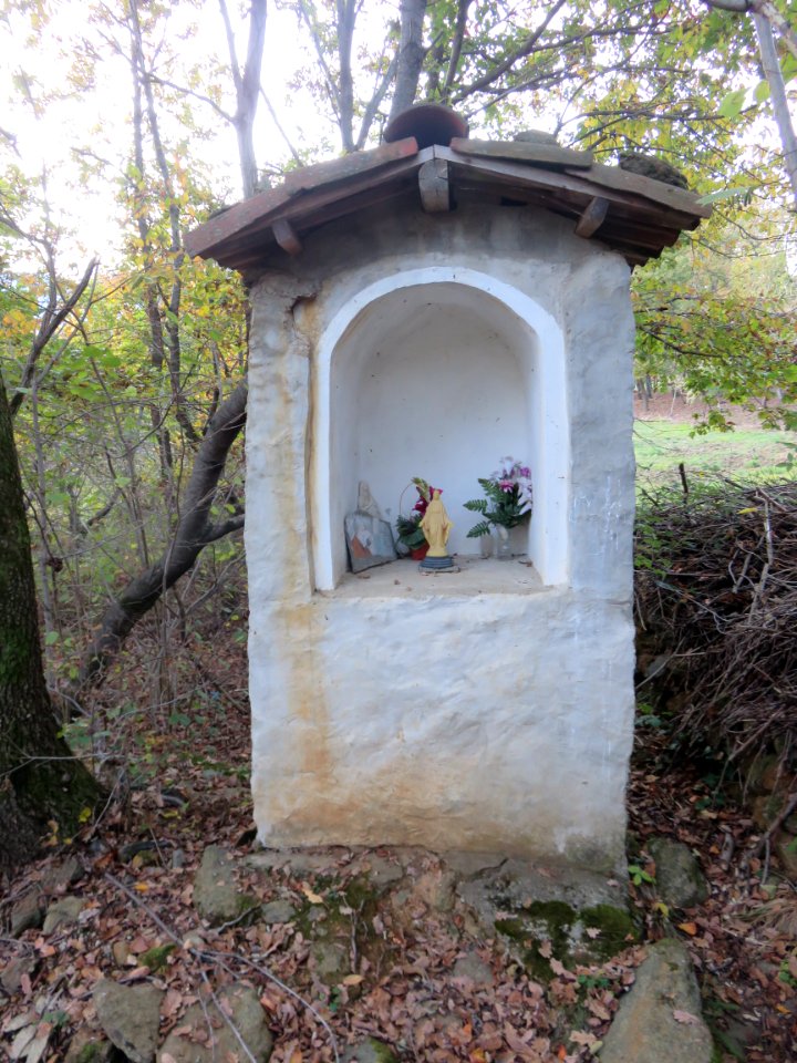 PV Val della Torre 018