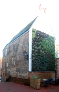Puget's Cottage, 14 North Street, Brighton (NHLE Code 1415925) (February 2020)