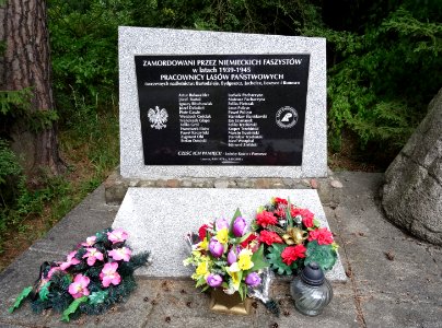 PuszczaBydgoska pomnik k Leszyc 5 7-2015