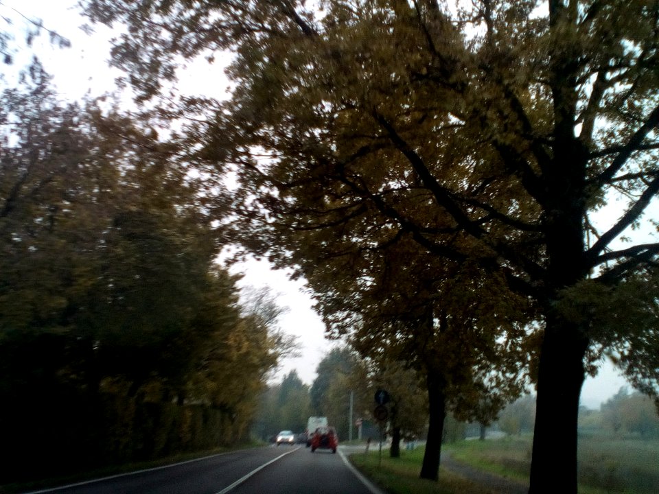 Puianello(RE)15
