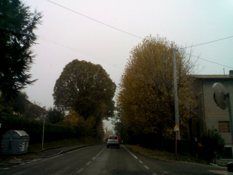 Puianello(RE)46