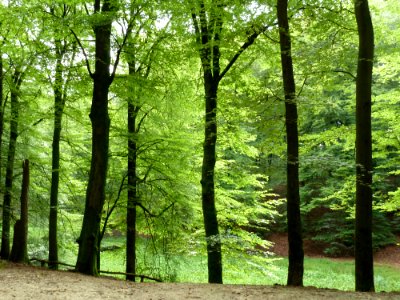 Putten-Solsche Gat (2)