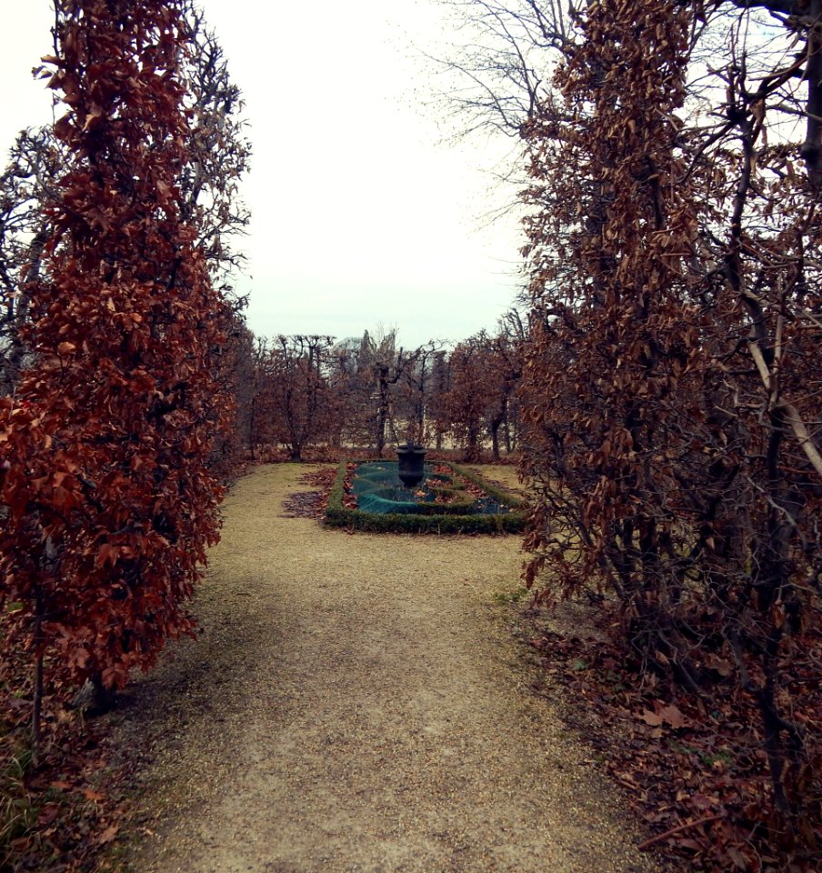 Pusztavacs, Autumn Park (201072397)