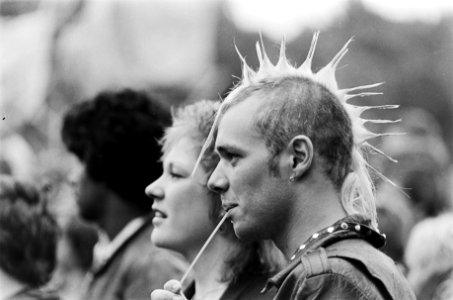 Punkers in het Zuiderpark in Den Haag tijdens Parkpop, Bestanddeelnr 931-5793