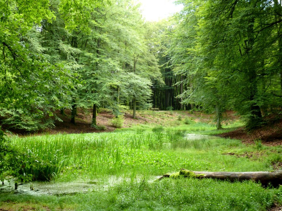 Putten-Solsche Gat (7)