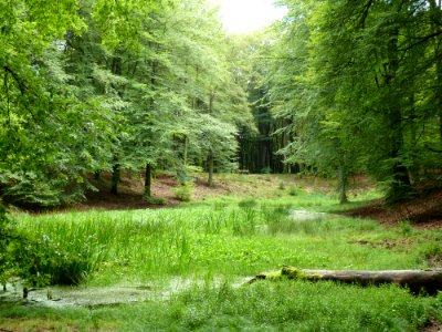 Putten-Solsche Gat (7)