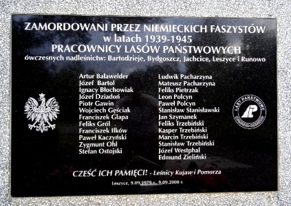 PuszczaBydgoska pomnik k Leszyc 1 7-2015