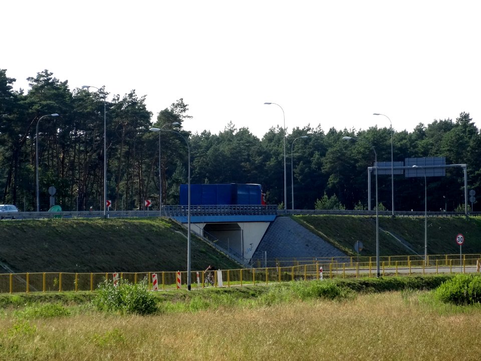 Puszcza Bydgoska BialeBlota 5 07-2014