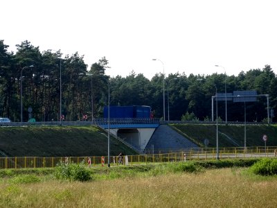 Puszcza Bydgoska BialeBlota 5 07-2014