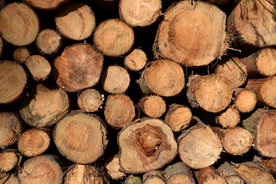 Holzstapel strains woodworks
