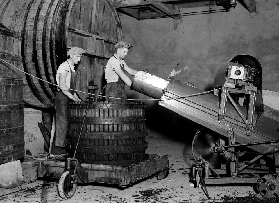 Pulp maken van de druiven in de Caves Coöperatives de Fleurie, Bestanddeelnr 191-0326