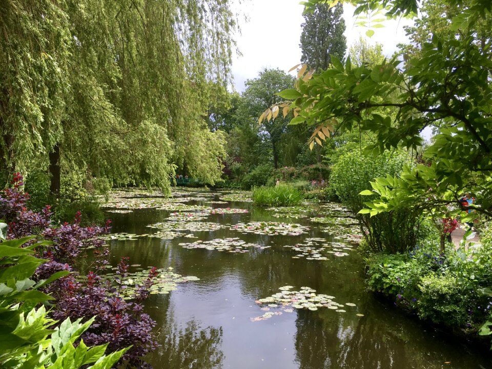 Art monet garden nature