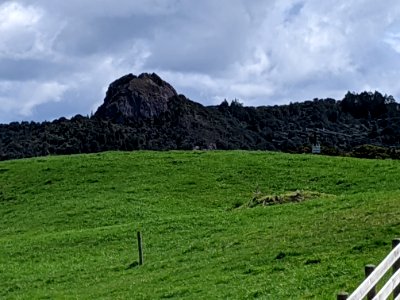 Pukepohatu2