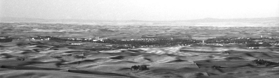 Pullman from kamiak