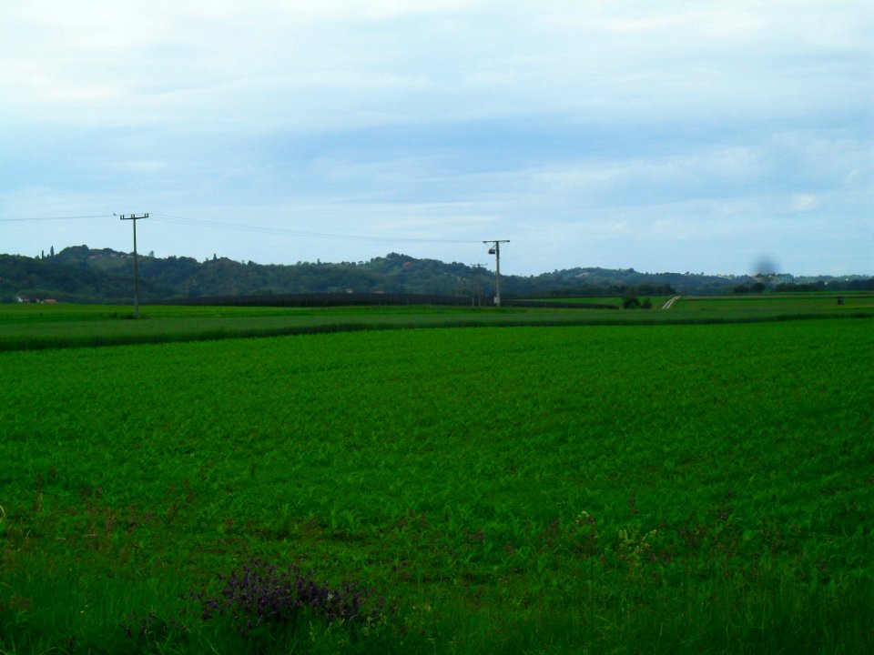 Pulje vu Vrhovljanu