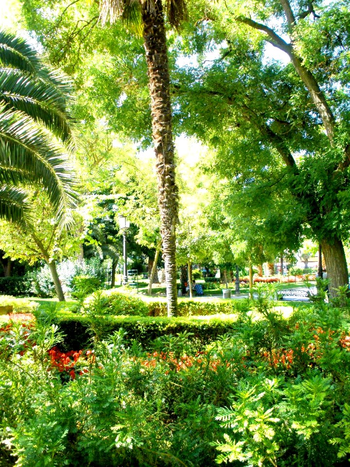 Puertollano - Paseo de San Gregorio 34