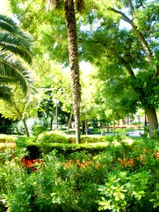 Puertollano - Paseo de San Gregorio 34