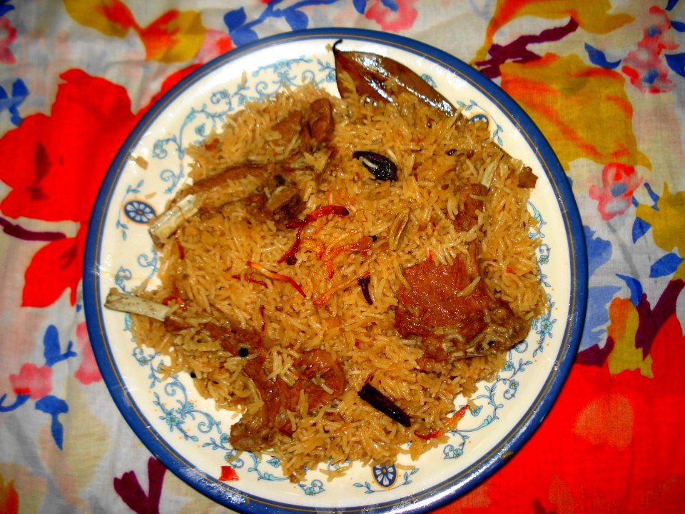 Punjabi Biryani photo