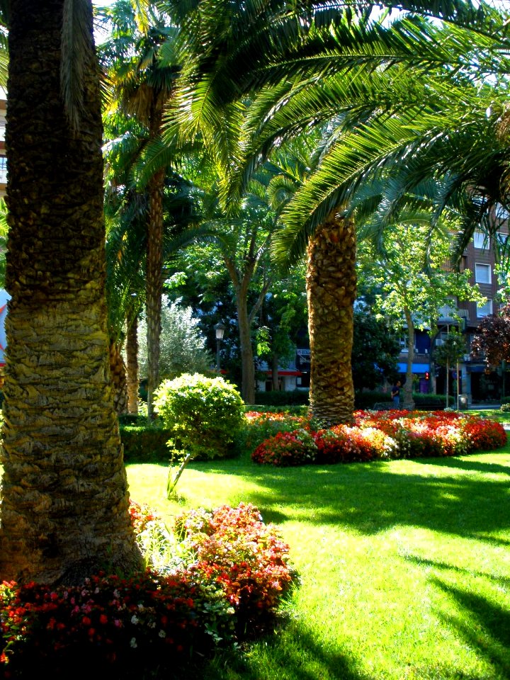 Puertollano - Paseo de San Gregorio 06