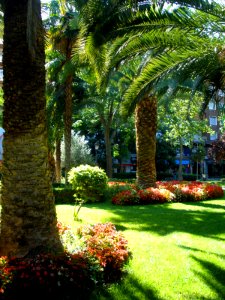 Puertollano - Paseo de San Gregorio 06
