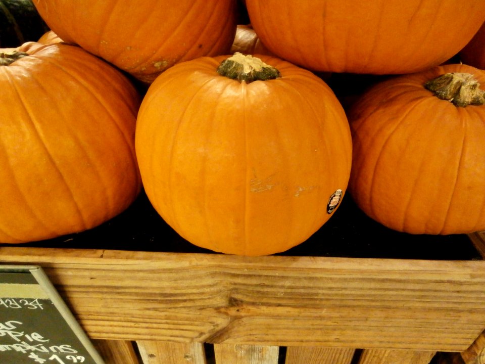 Pumpkin stack closeup