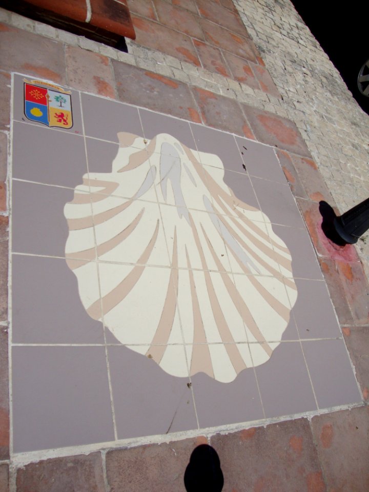 Pujaudran (Gers) coquille jaquaire au sol