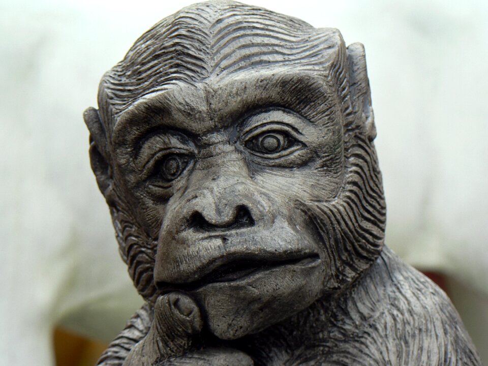 Hanuman monkey statue