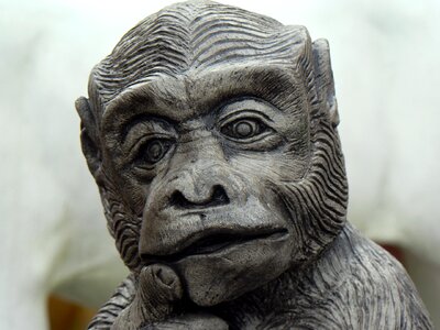 Hanuman monkey statue
