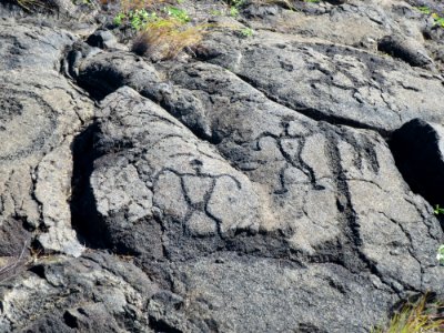 Pu'u Loa Petroglyphs, Nov 2017 (VI) 