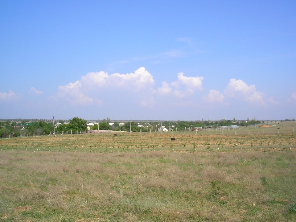 Prudovoe 1