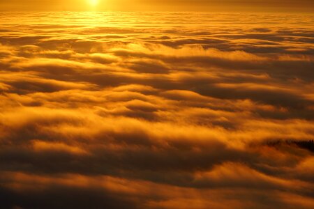 Sunny sea of fog fog lights photo