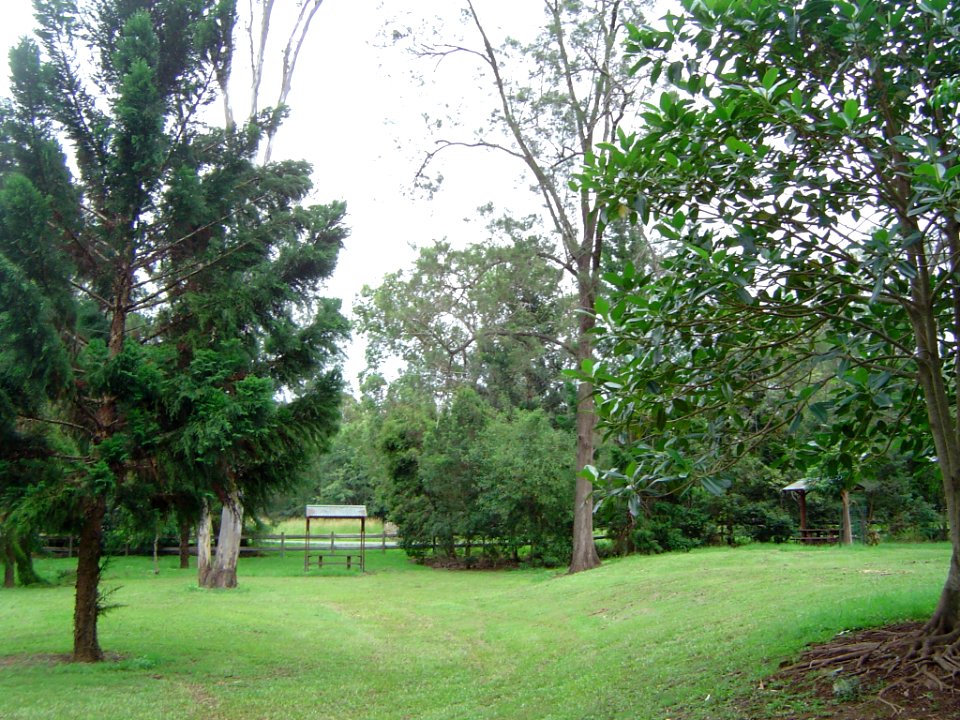 Pullenvale Forest Park