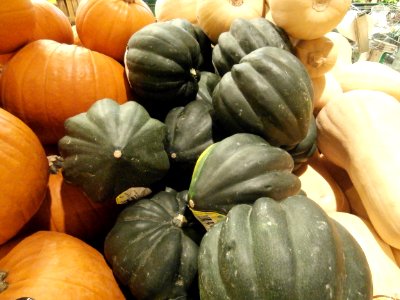 Pumpkins, acorn squash, butternut squash