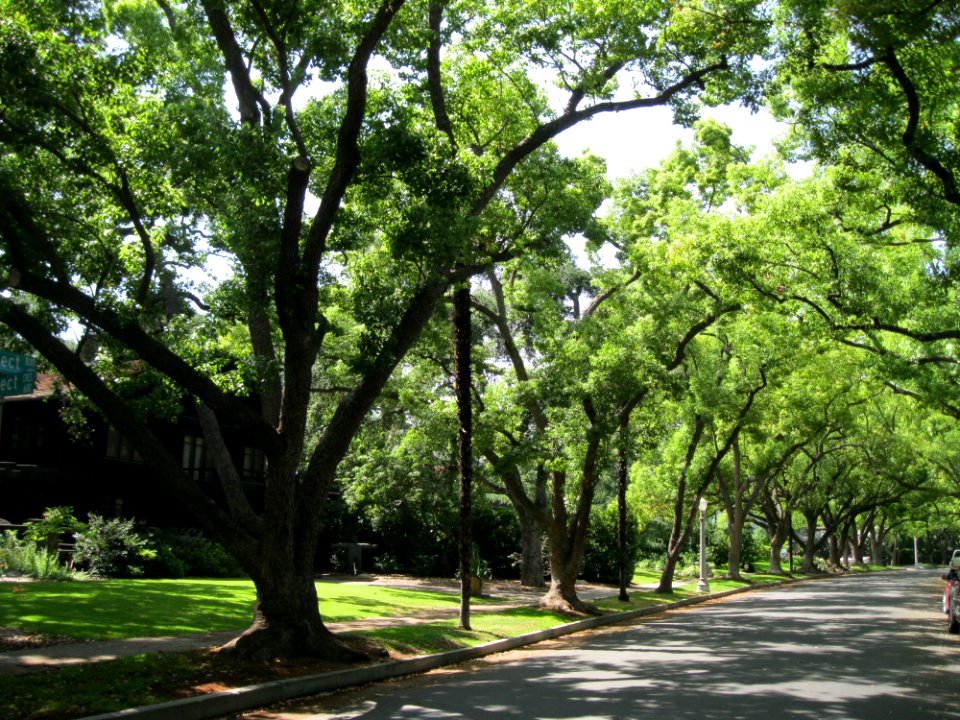 Prospect Boulevard, Prospect Historic District