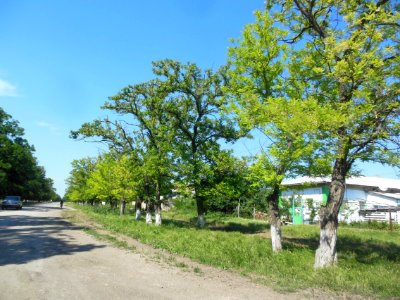 PrudySovet 1
