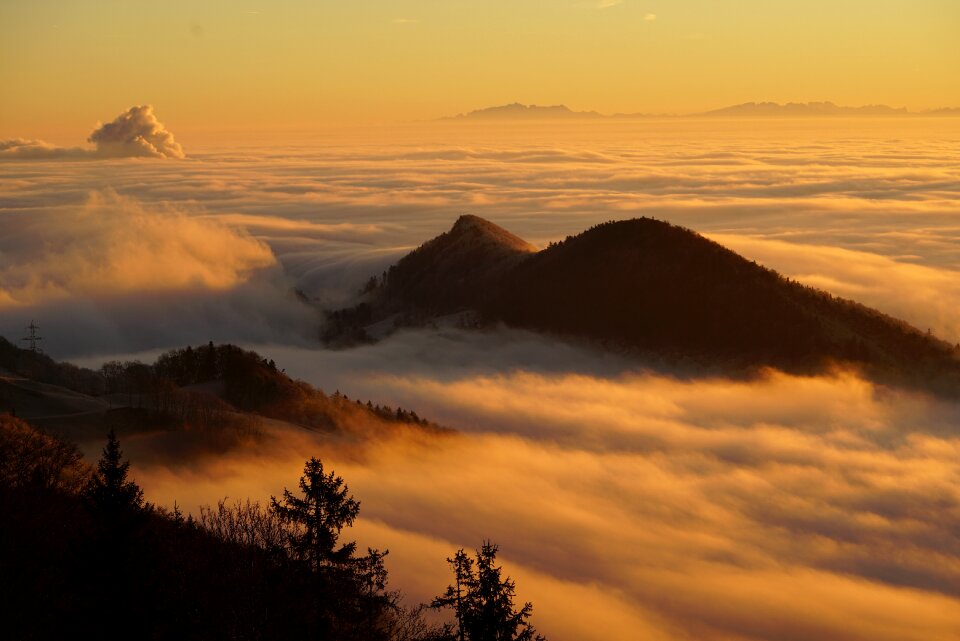 Sea of fog fog lights cloud cover