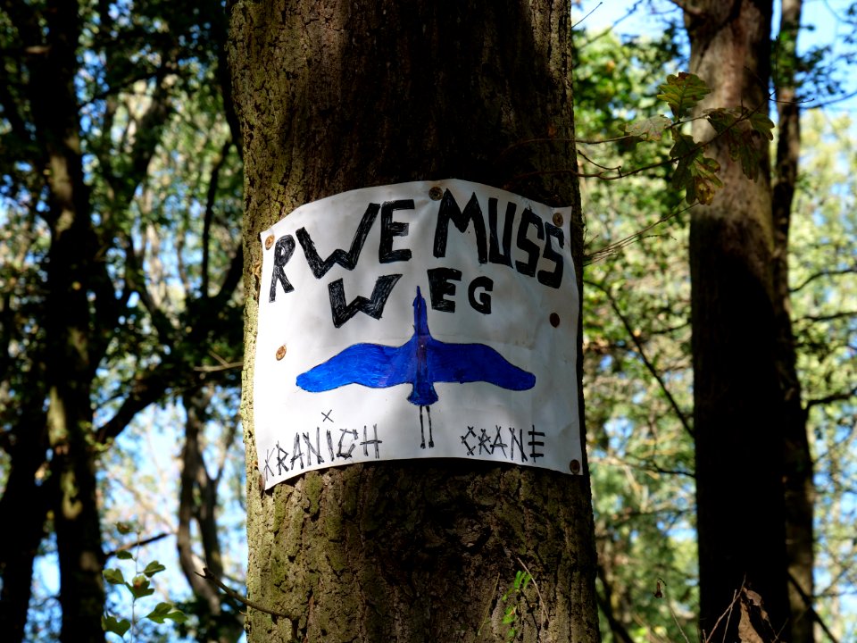 Protest sign in the Hambach forest 04