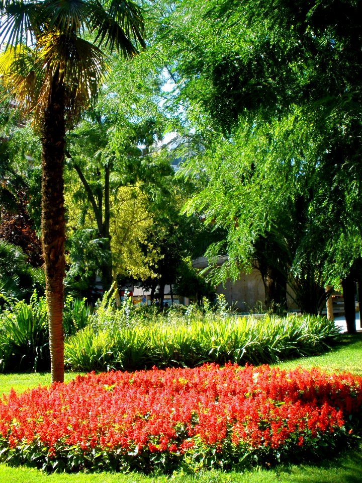 Puertollano - Paseo de San Gregorio 11