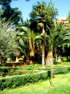 Puertollano - Paseo de San Gregorio 03