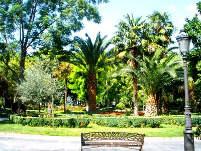 Puertollano - Paseo de San Gregorio 02