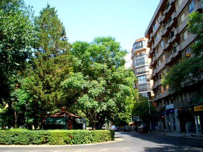 Puertollano - Paseo de San Gregorio 01